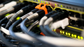 Foto: Zahlreiche LAN-Kabel stecken in einem Server.